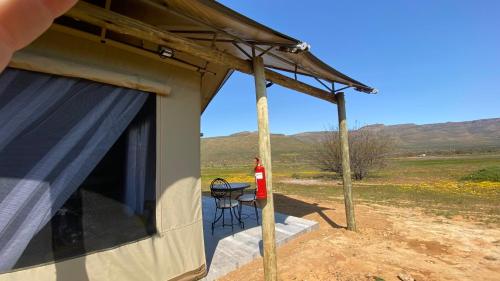 Marquee Safari Tent lachenalias Marquee Safari Tent lachenalias