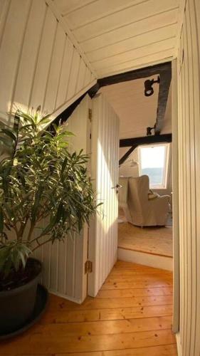 House Four Castles View - A whole House for you!! in Lorch-Lorchhausen