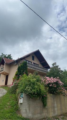 Villa Sara, Sarajevo