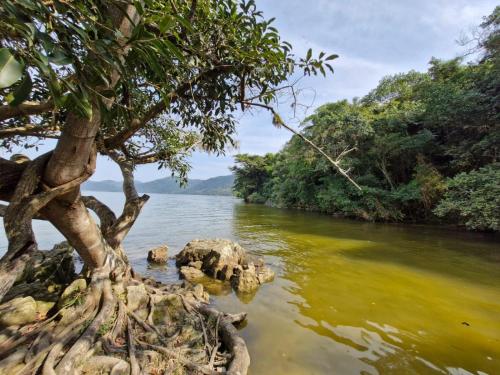 Peri kit house temporada