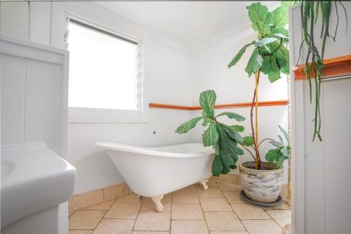 Kert, The Pines- Bellingen Coast Eco Home in Mylestom