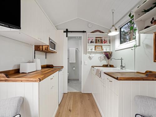 Luxury Tiny Homes in the Forest - Mount Yates