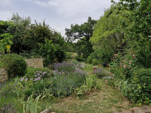 Olivo at Pietraie a cottage with many flowers in the Valley
