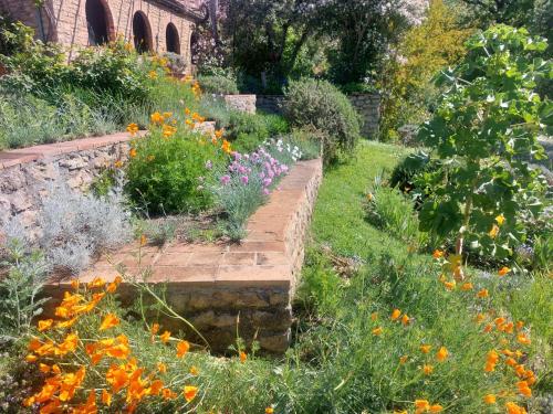 Olivo at Pietraie a cottage with many flowers in the Valley
