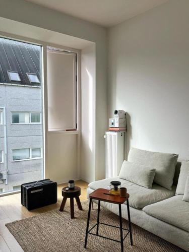 Cozy central studio, Copenaghen (foto 5)
