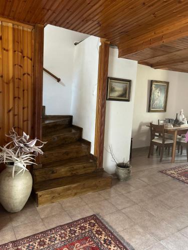 Amfipolis Root House in Proti