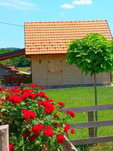 Drveni raj Lopatnice