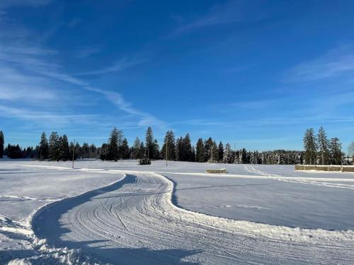 La Doline Charmant logement de vacances à la ferme (La Doline Charmant logement de vacances a la ferme) in Le Noirmont