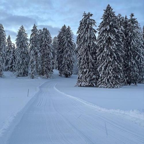 La Doline Charmant logement de vacances à la ferme (La Doline Charmant logement de vacances a la ferme) in Le Noirmont