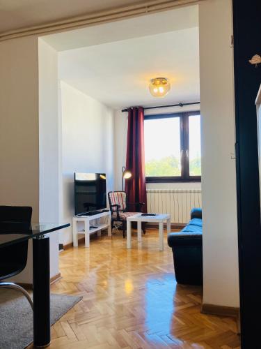 One-Bedroom Apartment image 10
