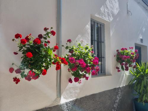 CASITA CAZORLA