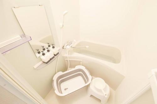 セントレイ押上ノース 101