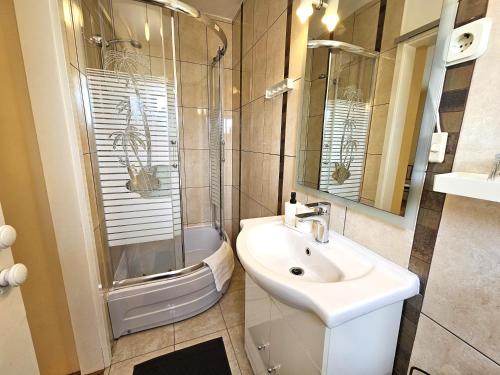 Apartment Mirko - image 9