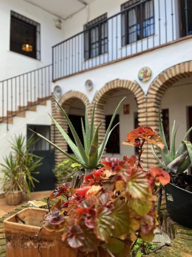 El Rincón del Pintor