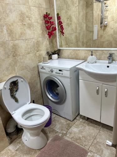 Apartament in chirie Moldova or.Soroca in Soroca