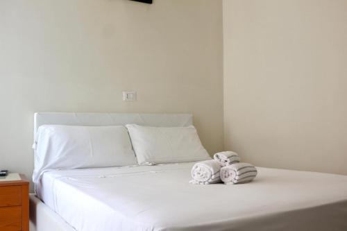 Hotel Domus Rome - image 2