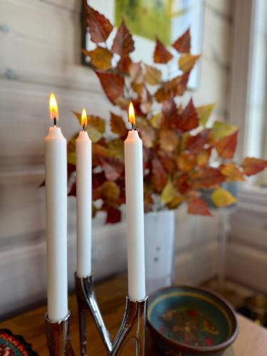 Cozy Ski-In Ski-Out Apartment on Geilo, Stunning Views! Cozy Ski-In Ski-Out Apartment on Geilo, Stunning Views!