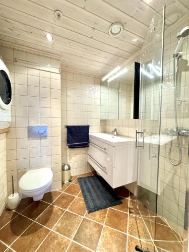 Cozy Ski-In Ski-Out Apartment on Geilo, Stunning Views! Cozy Ski-In Ski-Out Apartment on Geilo, Stunning Views!