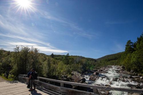 Cozy Ski-In Ski-Out Apartment on Geilo, Stunning Views! Cozy Ski-In Ski-Out Apartment on Geilo, Stunning Views!