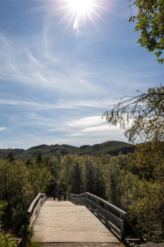 Cozy Ski-In Ski-Out Apartment on Geilo, Stunning Views! Cozy Ski-In Ski-Out Apartment on Geilo, Stunning Views!
