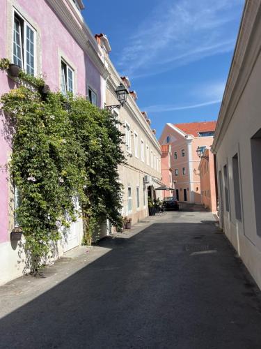 Casa Cor de Rosa 2