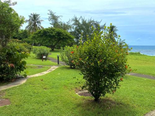 CELADON Village Vacances Ste Anne Guadeloupe