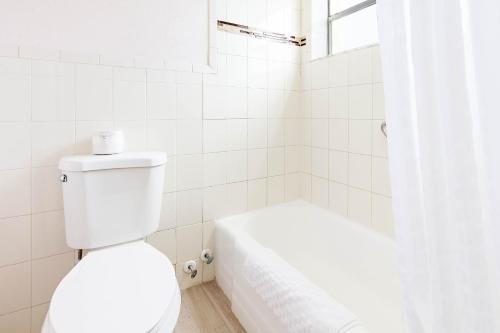 Best Western Plus University Inn - image 10