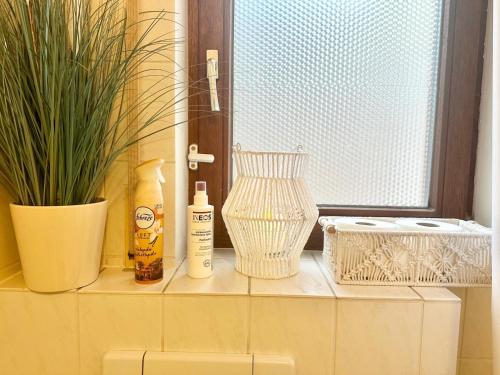 La Pura Vida La Pura Vida