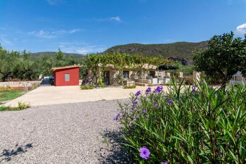 olive grove by the sea 30m from the beach, Kardamili (fotografie 4)
