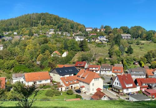 Ferienwohnung GARTENBLICK im HAUS GERLACH in Walkenried, Deutschland