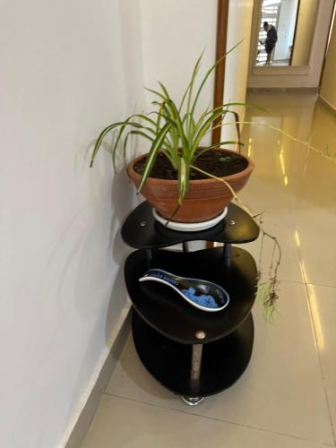 Centro Paipa in ไพพ่า