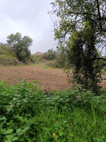 Kert, Masia El Bosquet in San Bartolomé Del Grau