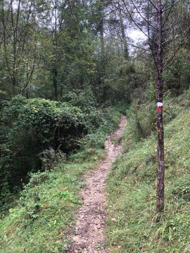 Kert, Masia El Bosquet in San Bartolomé Del Grau