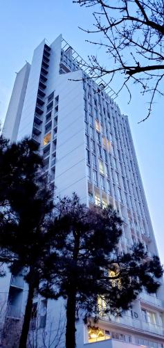 Luxury apartment in Tbilisi