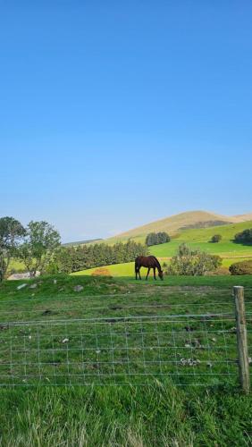 The Lake District Caravan in Ennerdale