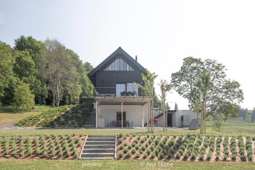 Vila Slatina Weinderer in Svecina