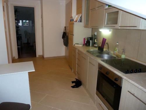Chambre Nice hyper centre ville, Nizza (foto 7)