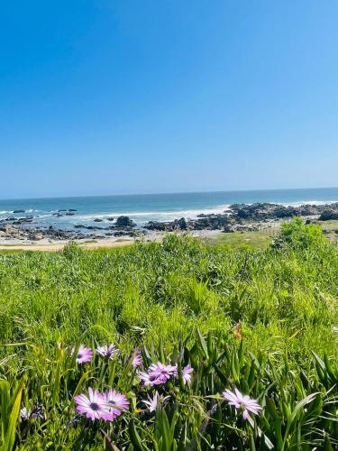 frente al mar tiny house