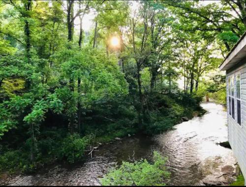 Alarka Creek Oasis in Bryson City, USA
