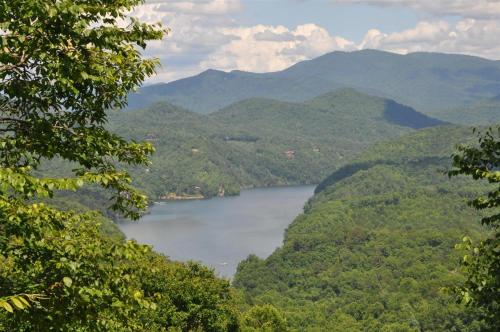 A Treehouse View Over Lake in Roundhill, USA