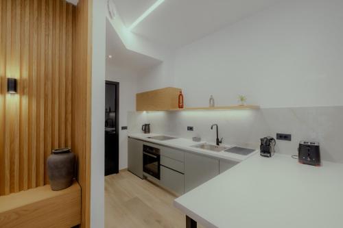 廚房, NIAMA Luxury apartments Nafplio in 納夫普利翁鄉村