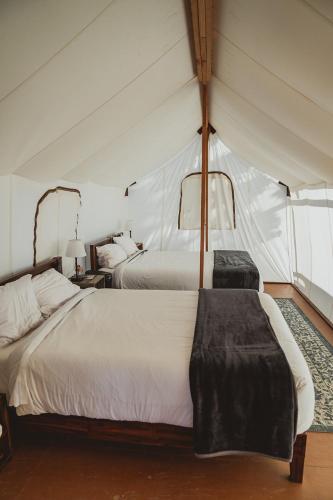 2 queen beds