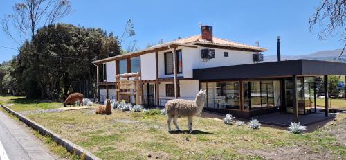 . La Maison d'Urbina