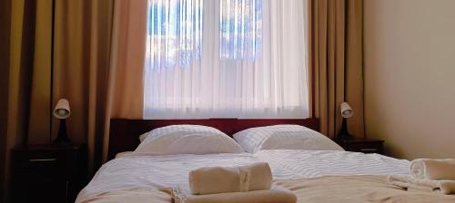 Hotel BIESZCZADski Wańkowa