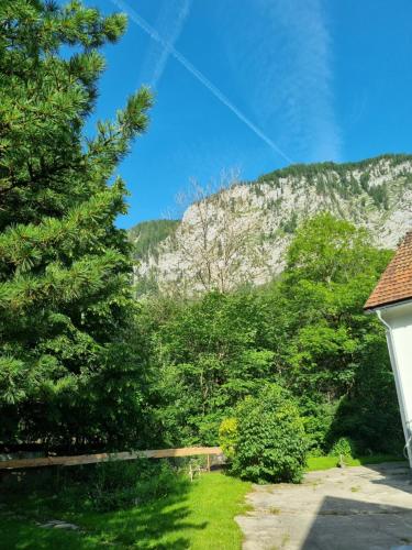 Gorshof in Spital am Pyhrn, Österreich