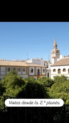 Apartamentos en la Plaza Doña Elvira, 7, Sevilla