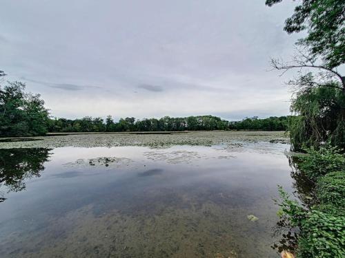 Alrededores, Studio in Sens