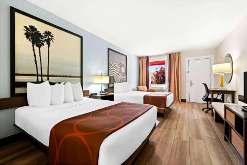 速8酒店-佛羅里達城/通往基斯群島/大沼澤地-溫德姆旗下 (Super 8 by Wyndham Florida City/Gateway to Keys/Everglades&nbsp;) in 佛羅里達市