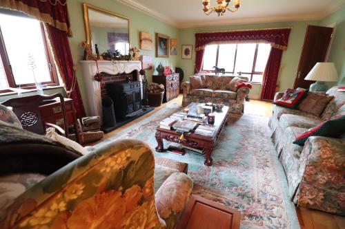 共用Lounge/電視區, Mossvale Lodge Country House Bed and Breakfast in 安特里姆