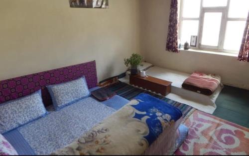 Ibex Homestay by StayApart in Losara